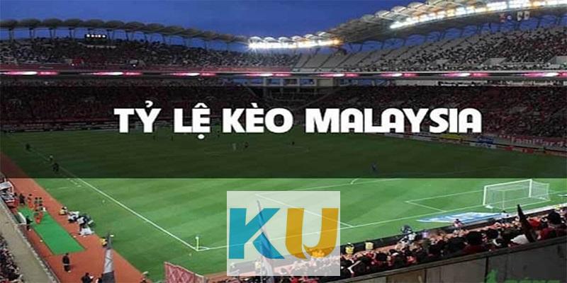 Những Thông Tin Về Tỷ Lệ Kèo Malaysia Cho Anh Em Tân Thủ 2 Mức tiền khi ăn trong tỷ lệ kèo Malaysia là cao